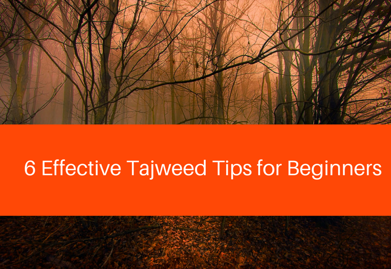 tajweed tips for beginners