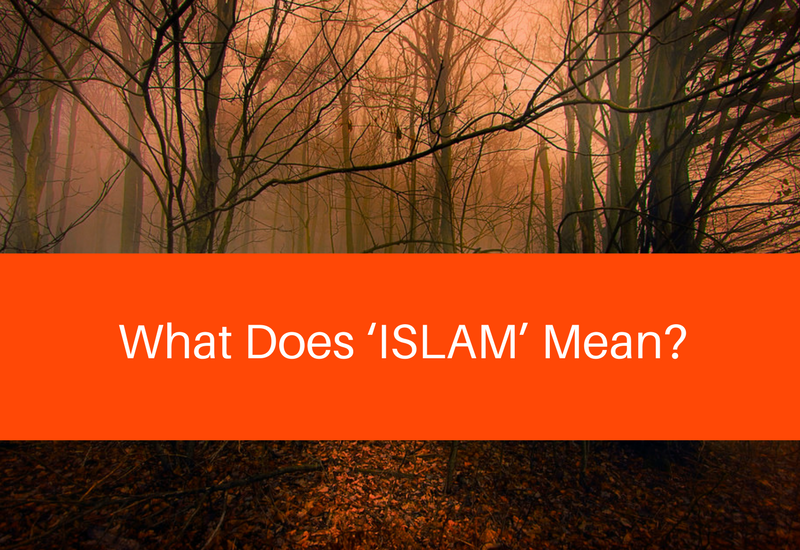 what does islam mean