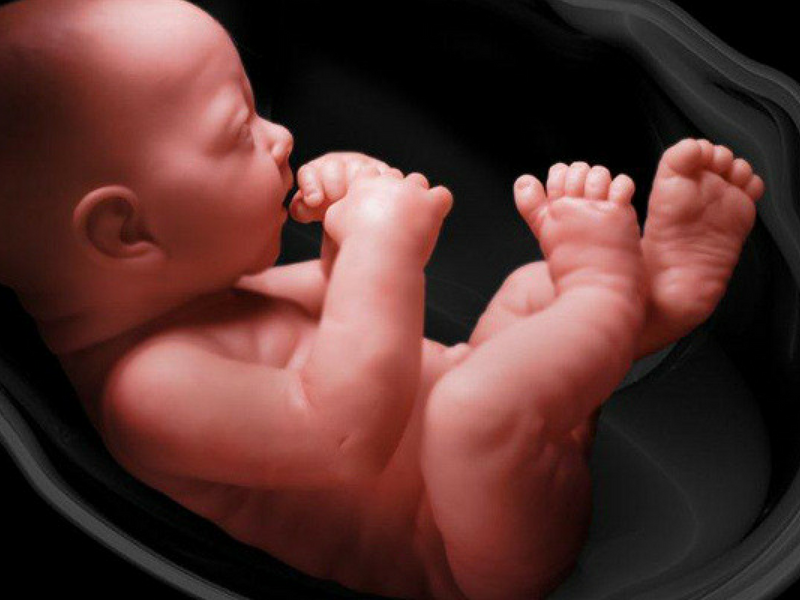 hadith-4-creation-in-the-mothers-womb